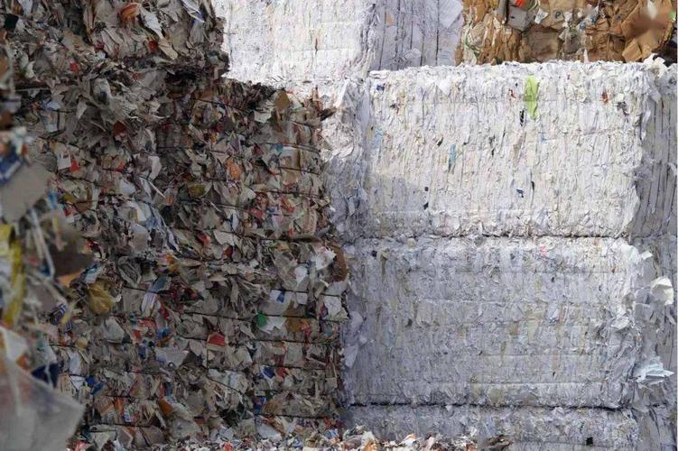海外| 中国造纸企业在美参股建设50万吨回收纸浆项目_公司